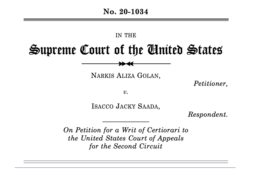 Golan vs Saada (USA/Italy) Brief for Amici Curiae: Italian organisations advocating for victims of domestic violence in support of petitioner (26 January 2022)
