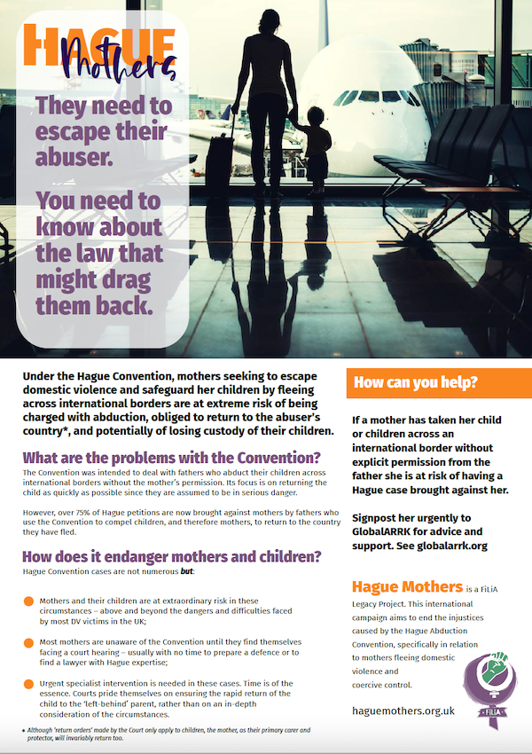 DV & the Hague (poster)