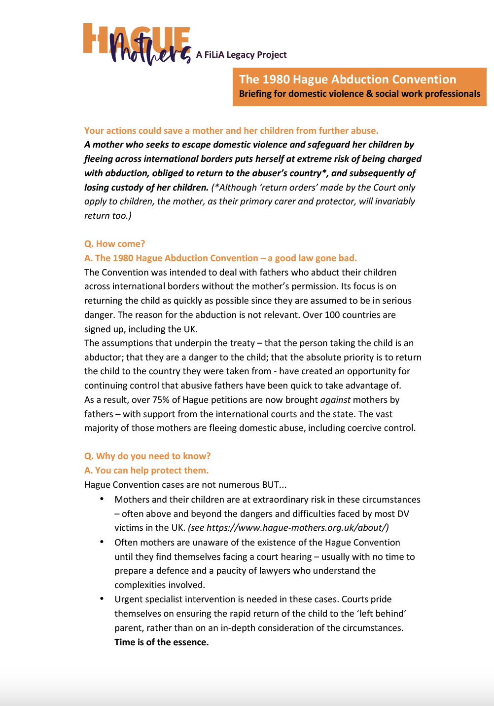 DV & the Hague (briefing)