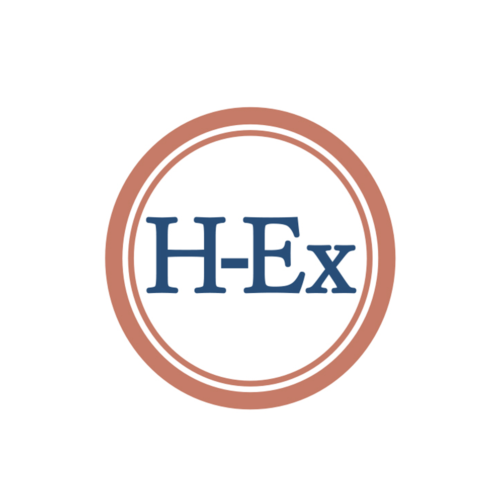 Hague Explained workshop (1-3 hours)