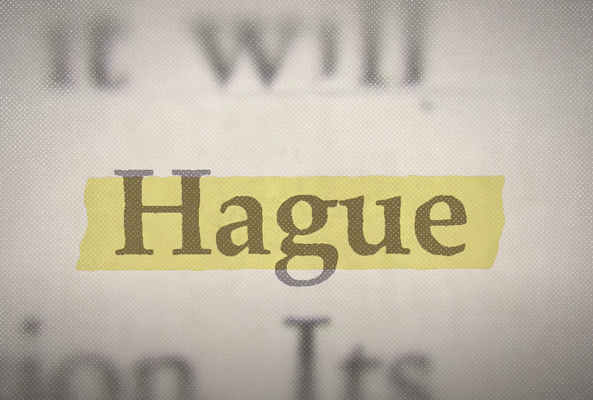 UCL Documentaries: Hague Mothers丨Why mothers are ‘abducting’ their own child?