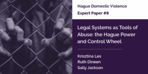 Expert paper cover image