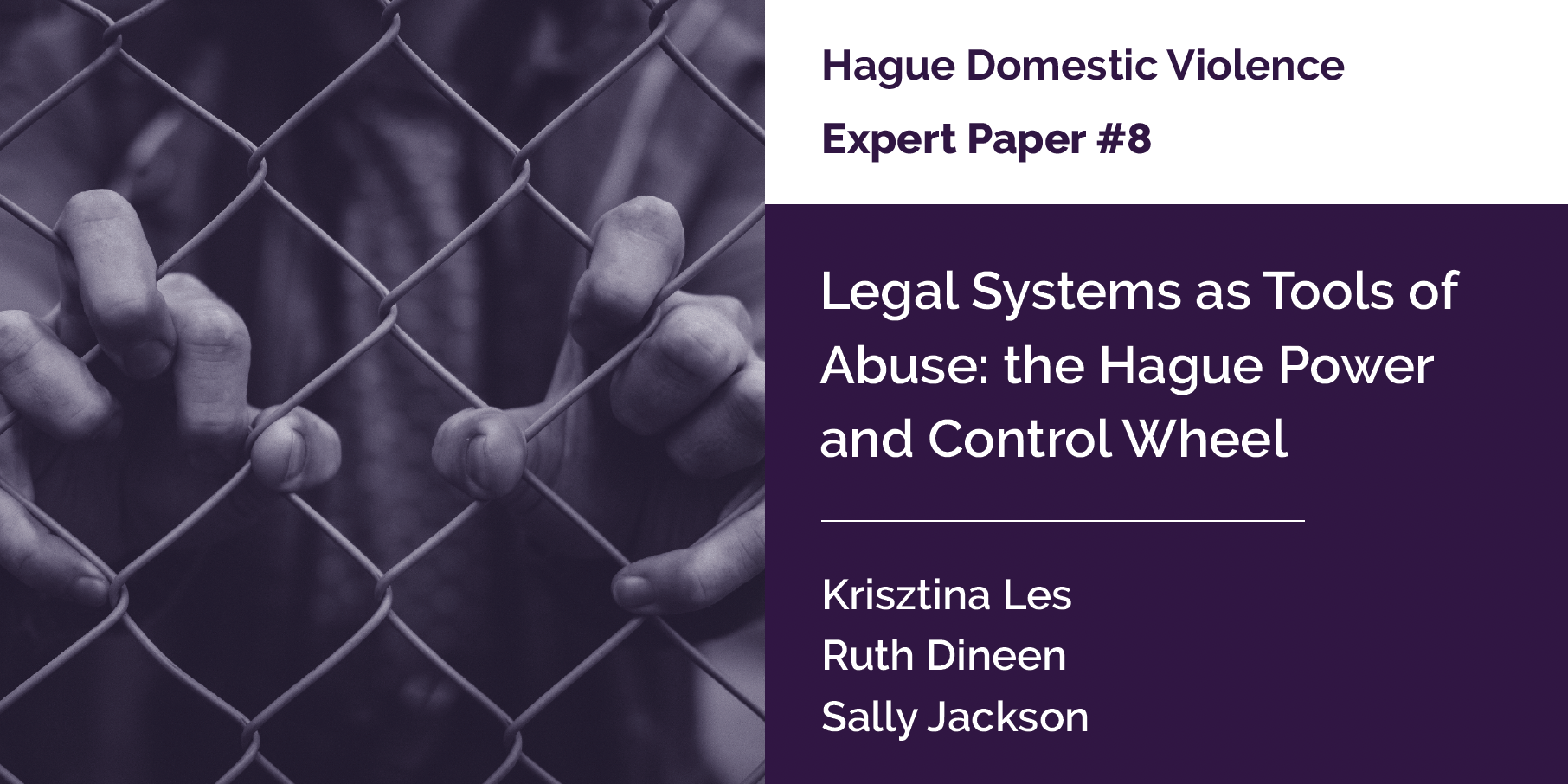 Expert Paper 8: Legal Systems as Tools of Abuse: the Hague Power and Control Wheel (2025)
