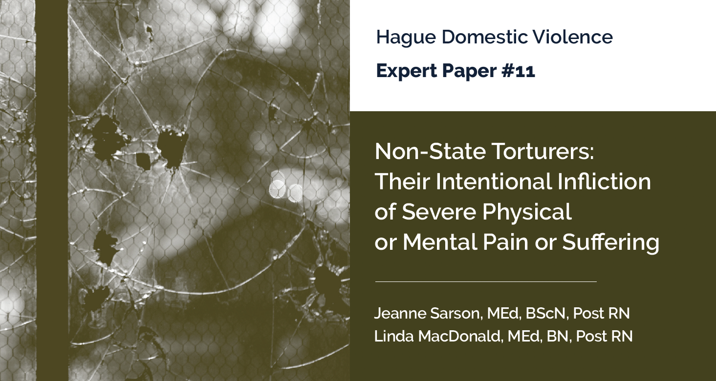 Expert Paper 11: Non-State Torturers: Their Intentional Infliction of Severe Physical or Mental Pain or Suffering